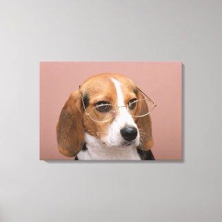 Beagle Leinwanddruck
