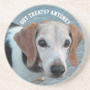 Beagle Liebe Leckereien Funny Hund Geschenk Getränkeuntersetzer