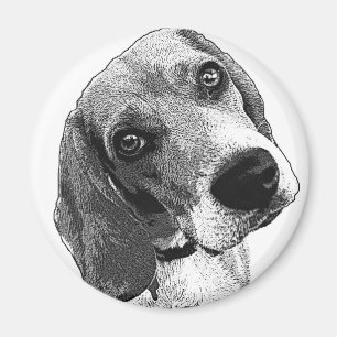 Beagle-Liebe Magnet