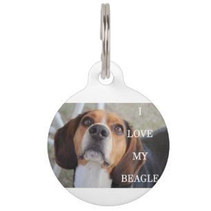 Beagle Liebe w pinsenrot Tiermarke