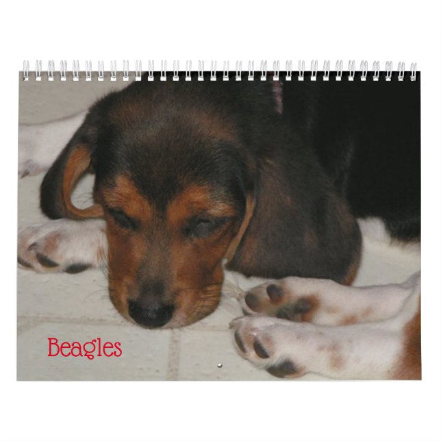 Beagle-Liebhaber-Kalender Kalender (Titelbild)