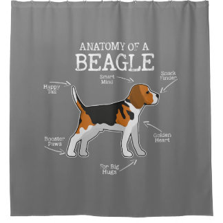 Beagle liebt/Anatomie eines Beagle Duschvorhang