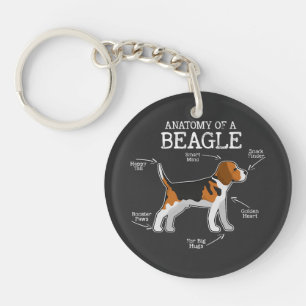 Beagle liebt/Anatomie eines Beagle Schlüsselanhänger