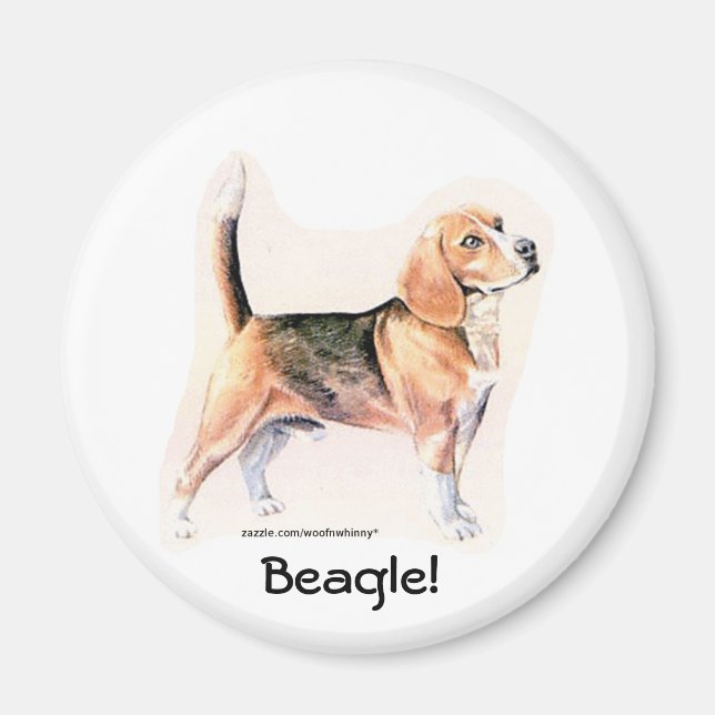 Beagle Magnet (Vorne)