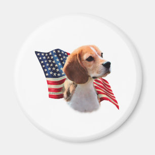 Beagle Magnet