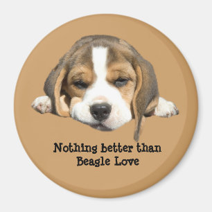Beagle-Magnet Magnet
