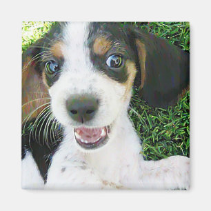 Beagle-Magnet Magnet