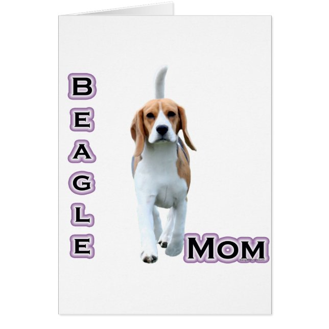 BEAGLE MAMA 4 (Vorne)