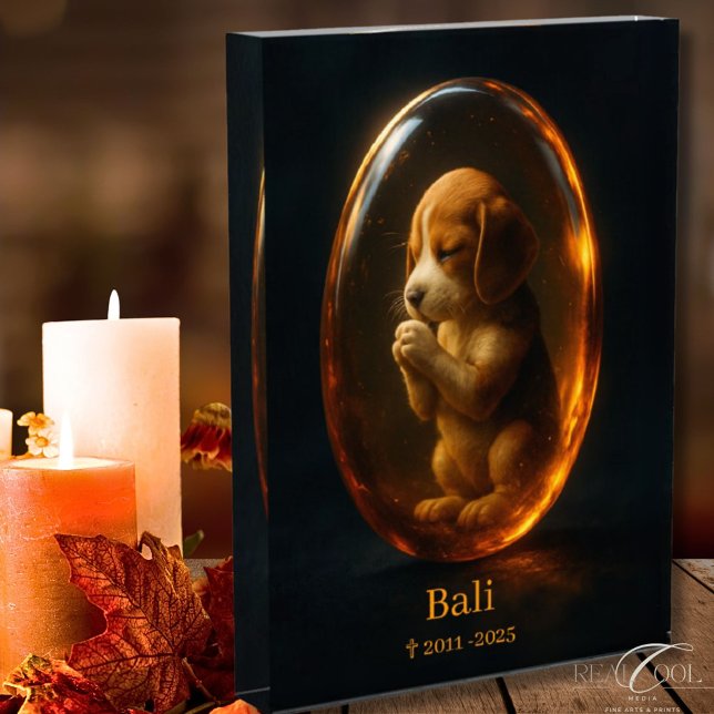 Beagle Memorial  Fotoblock (Von Creator hochgeladen)