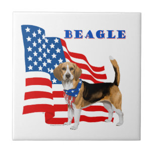 Beagle mit amerikanischer Flagge Fliese