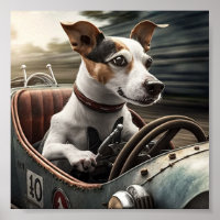 Beagle mit Racing