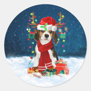 Beagle mit Weihnachtsgeschenke Runder Aufkleber