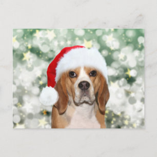 Beagle mit Weihnachtsmannmütze Weihnachten Postkarte