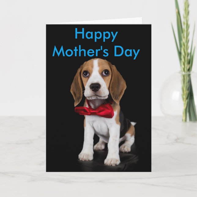Beagle Mother's Day Card Karte (Vorderseite)