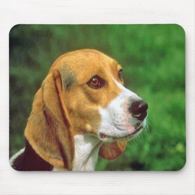 Beagle Mousepad (Vorne)