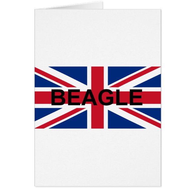 Beagle Name england United_Kingdom flagge (Vorne)