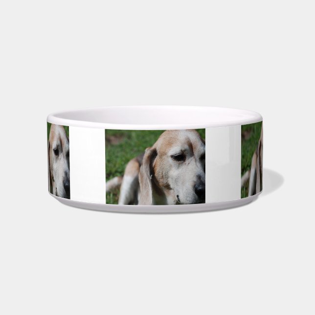 Beagle Napf (Vorderseite)