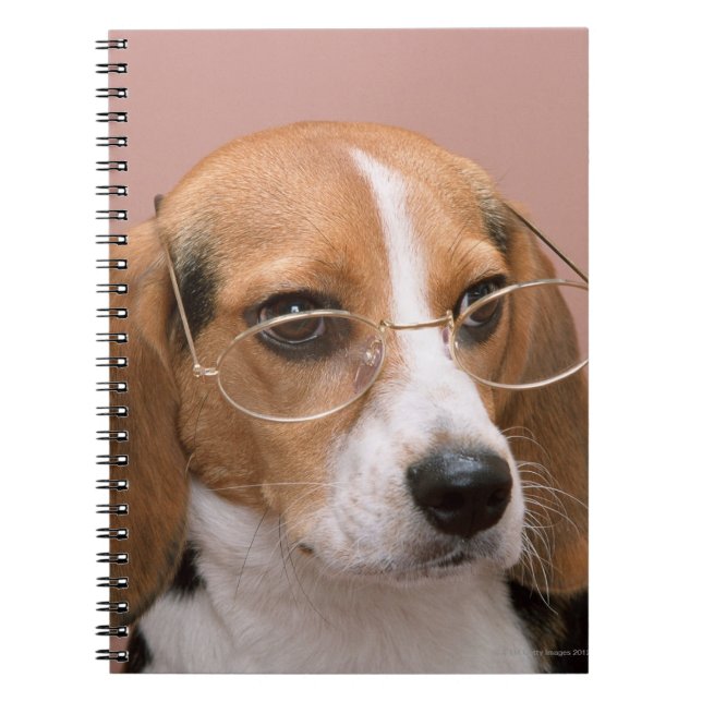 Beagle Notizblock (Vorderseite)