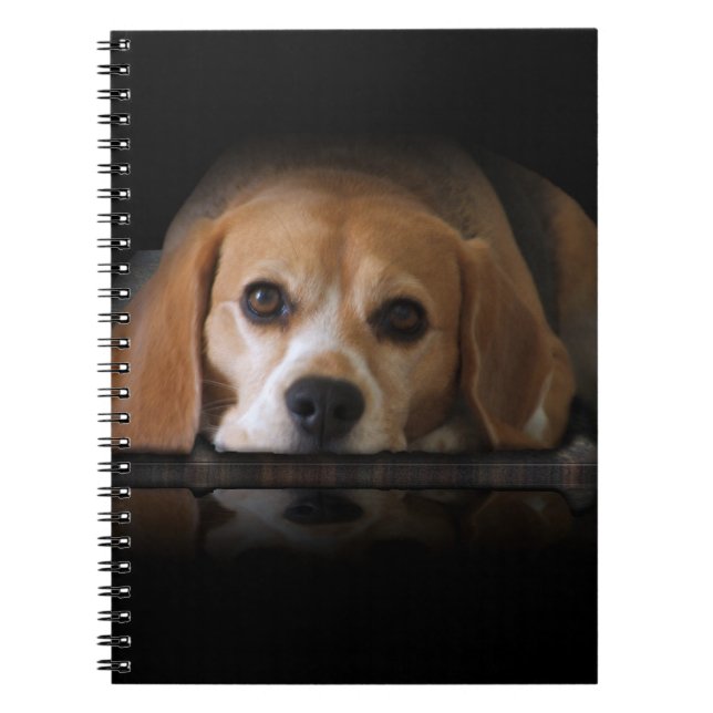 Beagle-Notizbuch Notizblock (Vorderseite)