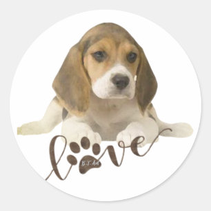 Beagle-Papier-Teller Runder Aufkleber