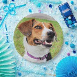 Beagle Pappteller