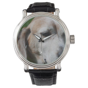Beagle-Portrait Armbanduhr