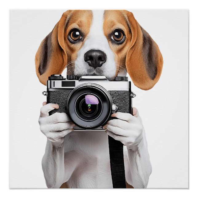 Beagle Poster (Vorderseite)