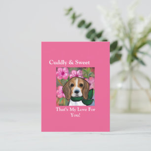 Beagle      postkarte