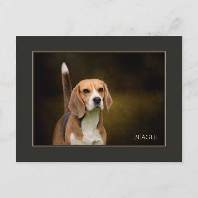Beagle Postkarte (Vorderseite)