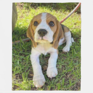 BEAGLE PUP FLEECEDECKE