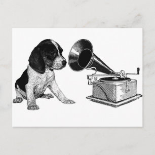 Beagle Pup mit Gramophon Postkarte