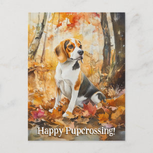 Beagle Pupkreuzung - Postkarte