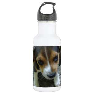 Beagle_puppy_6_wochen.png Edelstahlflasche