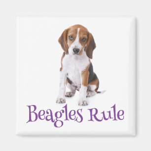 Beagle Puppy Dog Kühlschrankmagnet Magnet
