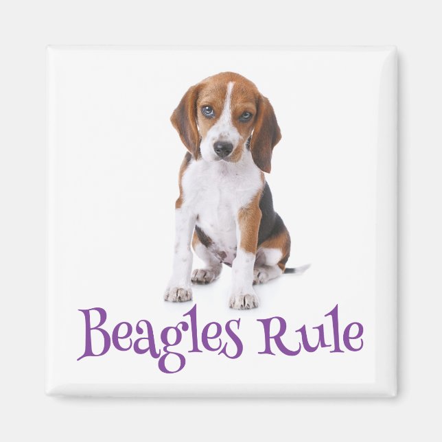 Beagle Puppy Dog Kühlschrankmagnet Magnet (Vorne)