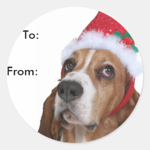 Beagle Puppy-Gift-Tags Runder Aufkleber