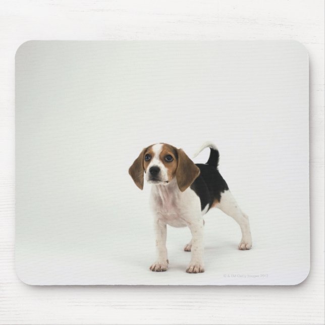 Beagle Puppy Mousepad (Vorne)