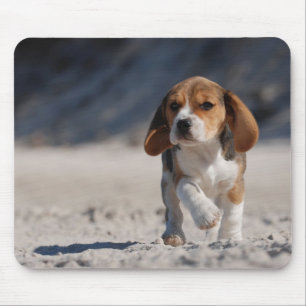 Beagle Puppy Mousepad