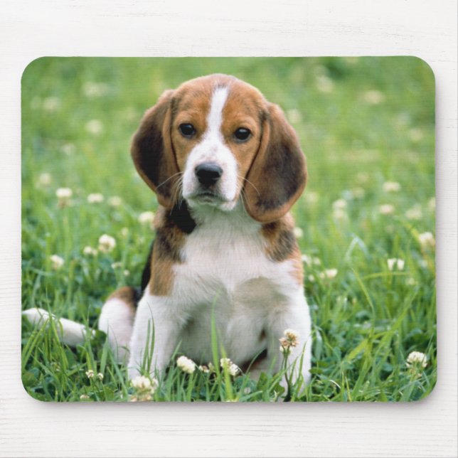 Beagle Puppy Mousepad (Vorne)