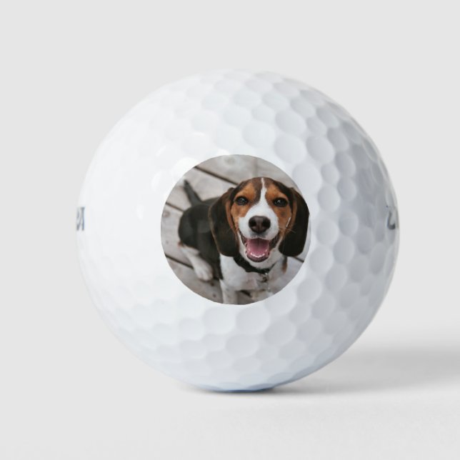 Beagle-Puppy-Sitting Golfball (Vorderseite)