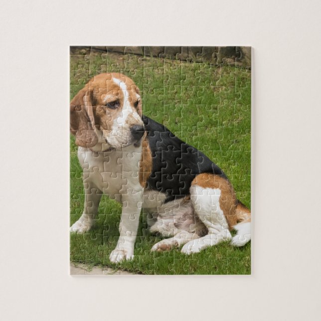 Beagle Puzzle (Vertikal)