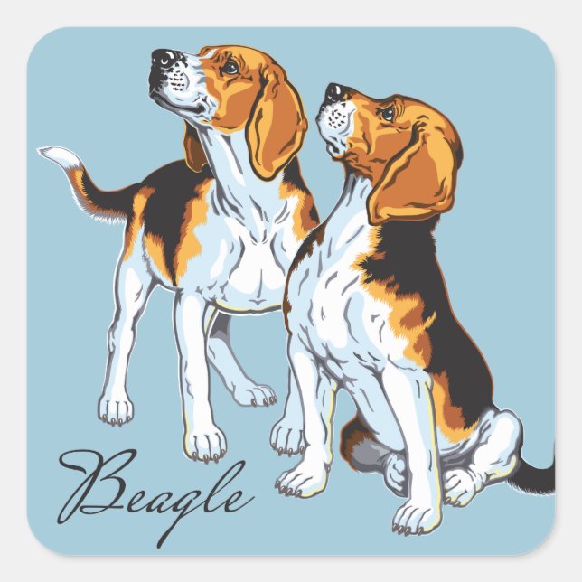 Beagle Quadratischer Aufkleber (Vorderseite)