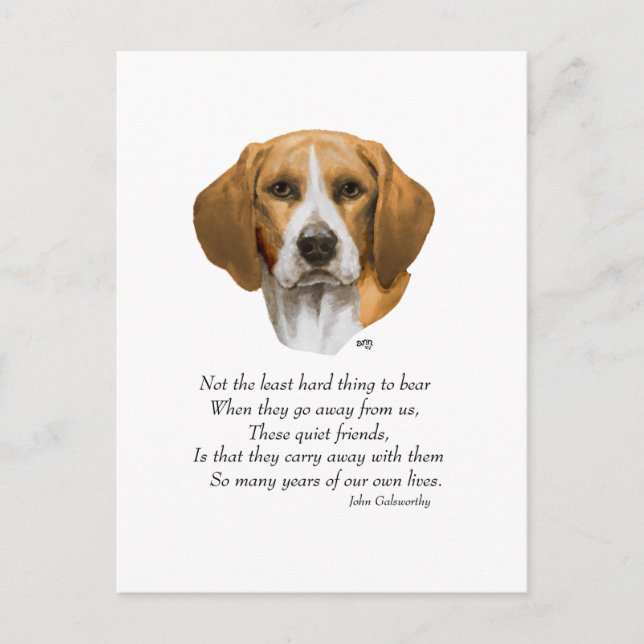 Beagle Rainbow Bridge Postkarte (Vorderseite)