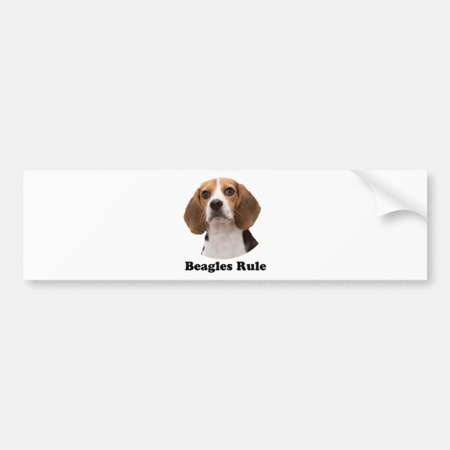 Beagle-Regel Autoaufkleber (Vorne)