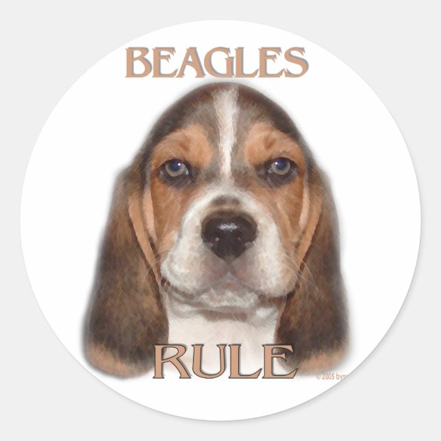 Beagle Regel! Runder Aufkleber (Vorderseite)