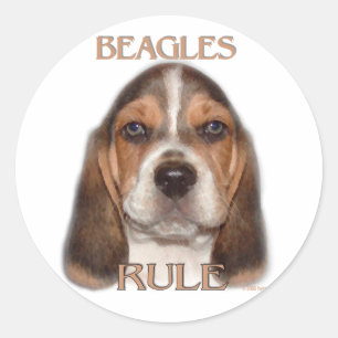 Beagle-Regel! Runder Aufkleber