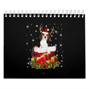 Beagle Reindeer präsentiert Weihnachtsgeschenk Kalender
