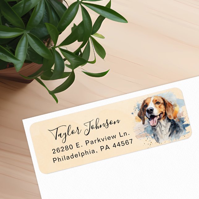 Beagle-Rücksendeadresse (Von Creator hochgeladen)