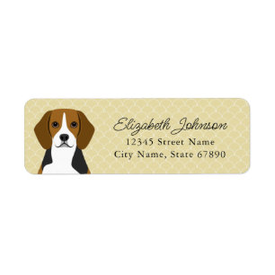 Beagle Rücksendeadressen-Aufkleber