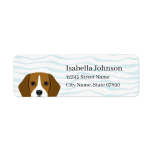 Beagle Rücksendeadressen-Aufkleber